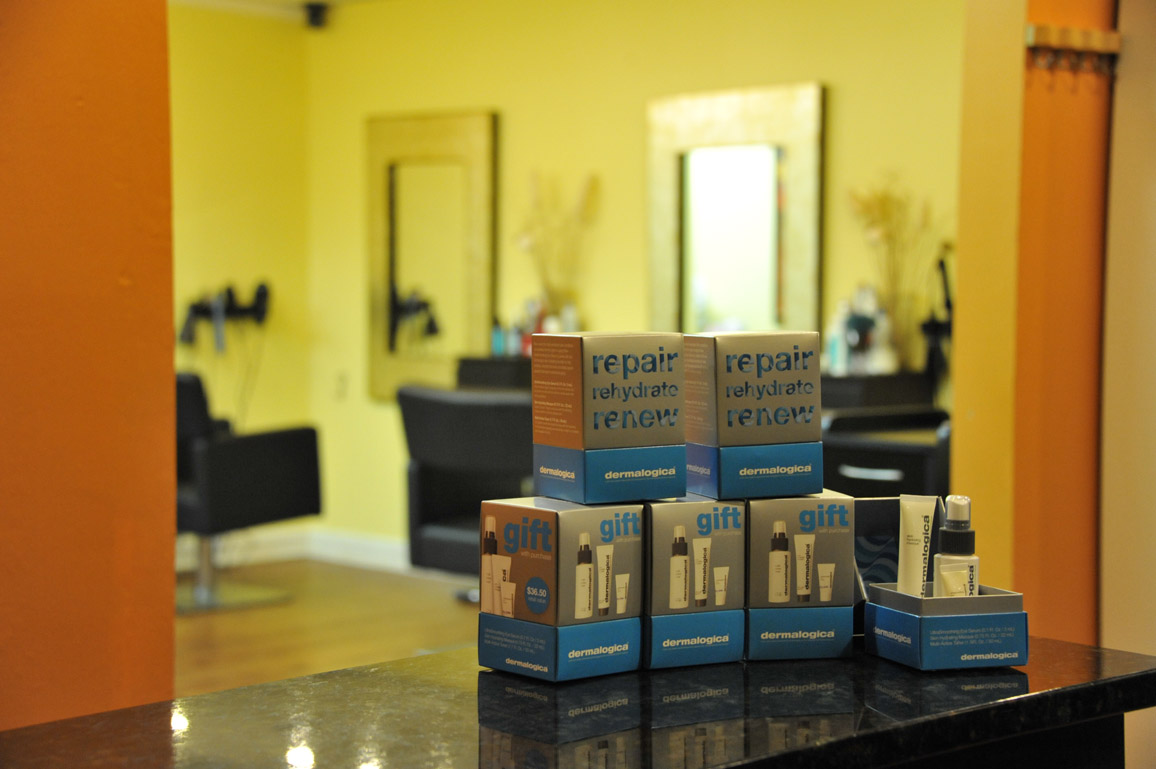 Salon3